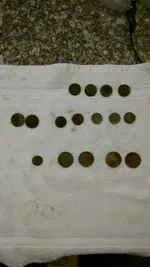 1444863334882.webp