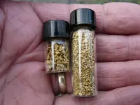 2 vials.webp