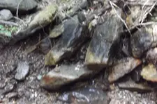 DSCF1204.webp