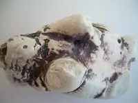 DSCN2552.webp