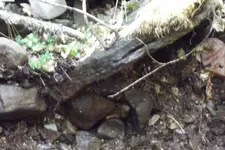 DSCF1209.webp