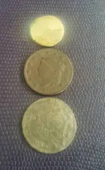 1441391325073.webp