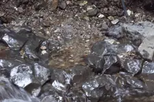 DSCF1213.webp