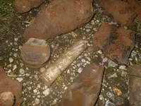 DSCN7398.webp