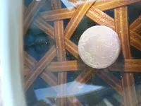 20150913_190601.webp