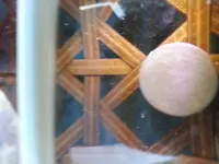20150913_190641.webp
