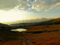 new cam 2.webp