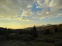 new cam 3.webp