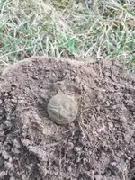 ImageUploadedByTreasureNet.com1442956492.935194.webp ImageUploadedByTreasureNet.com1442956492.935194.webp