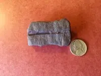 ImageUploadedByTreasureNet.com1442191807.512051.webp