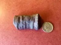ImageUploadedByTreasureNet.com1442191817.565149.webp ImageUploadedByTreasureNet.com1442191817.565149.webp