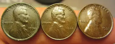 wheats_34_44_53.webp