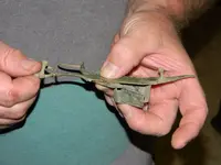 ImageUploadedByTreasureNet.com1444352038.191713.webp