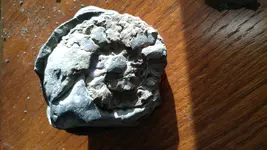 20150824_184754[1].webp
