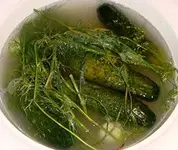 09304F01.webp