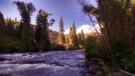 taylor res 2.webp