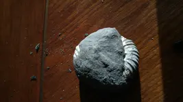 20150824_184741[1].webp