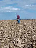 Metal Detecting.webp Metal Detecting.webp