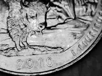 2010 Quarter 011.webp