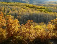 kebler pass 3.webp