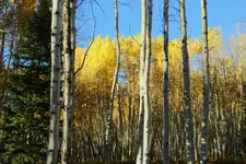 kebler pass 4.webp
