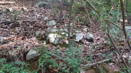 20150904_163158.webp