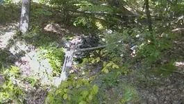 SAM_0282.webp