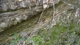 SAM_0283.webp