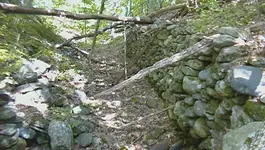 SAM_0284.webp