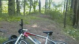 SAM_0291.webp