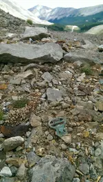 IMAG1293.webp