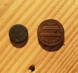ImageUploadedByTreasureNet.com1441414948.512626.webp ImageUploadedByTreasureNet.com1441414948.512626.webp