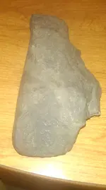IMAG0122.webp