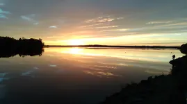 IMAG0115.webp