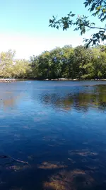 IMAG0092.webp
