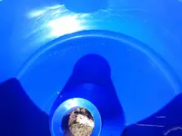 20151015_104408.webp
