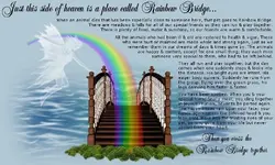 rainbowbridge.webp
