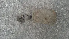 20150914_091542.webp