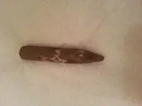 20151009_084155.webp