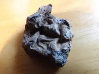 DSCF4130.webp