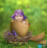 ImageUploadedByTreasureNet.com1440545708.412642.webp