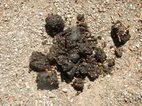 DSCN1649.webp