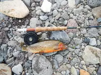 DSCN1814.webp