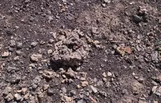 slag 1.webp