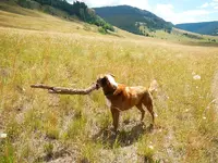 DSCN1821.webp