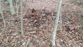20150818_171819.webp