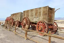 heavy haul 20 mule.webp