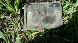 1442267269905.webp