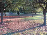 IMG_1740.webp