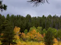 RMP K 1.webp